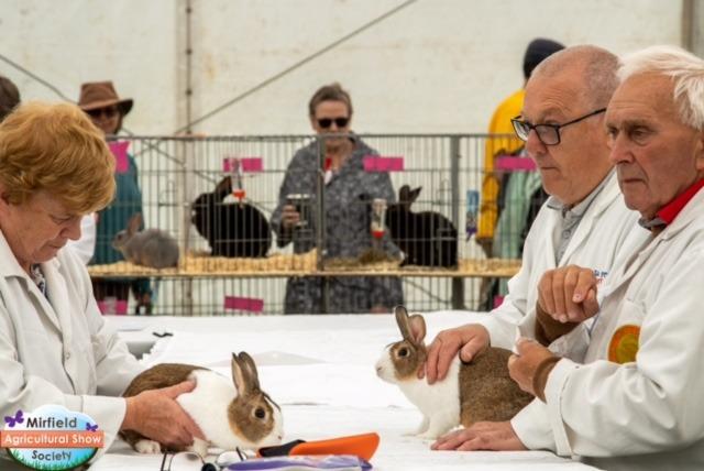 This year's event has a 'back to the farm' theme