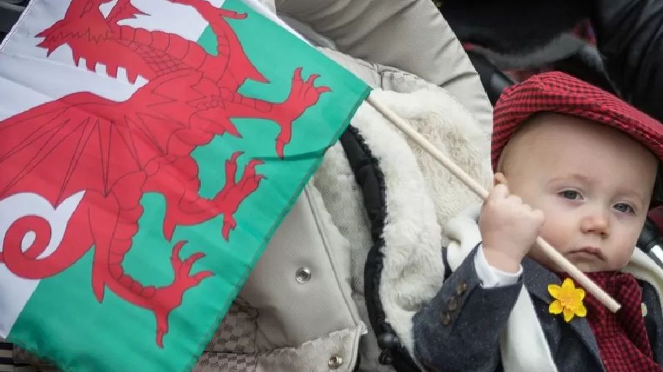 Baby holding Welsh flag