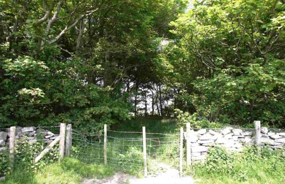 Dorset Echo: The bench is installed on a hilltop above Encombe Dorset Echo: The bench is installed on a hilltop above Encombe